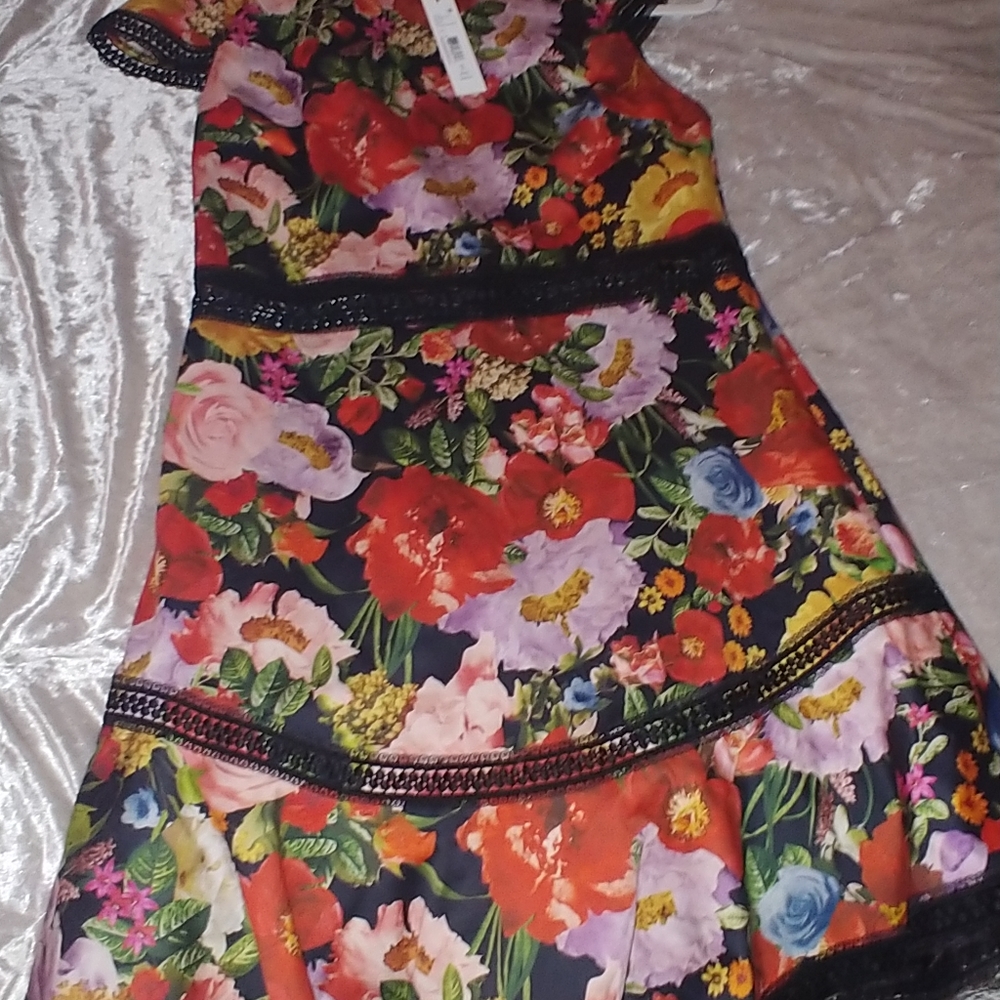 Adorabke Alice and Olivia dress